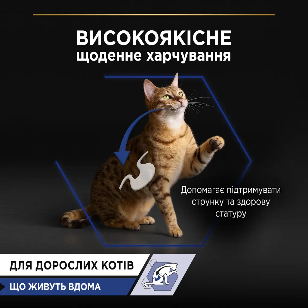 Вологий корм для кішок Purina Pro Plan Adult Indoor Nutrisavour Для кішок, що живуть у приміщенні З лососем 85 г (8445290172990) - фото 5