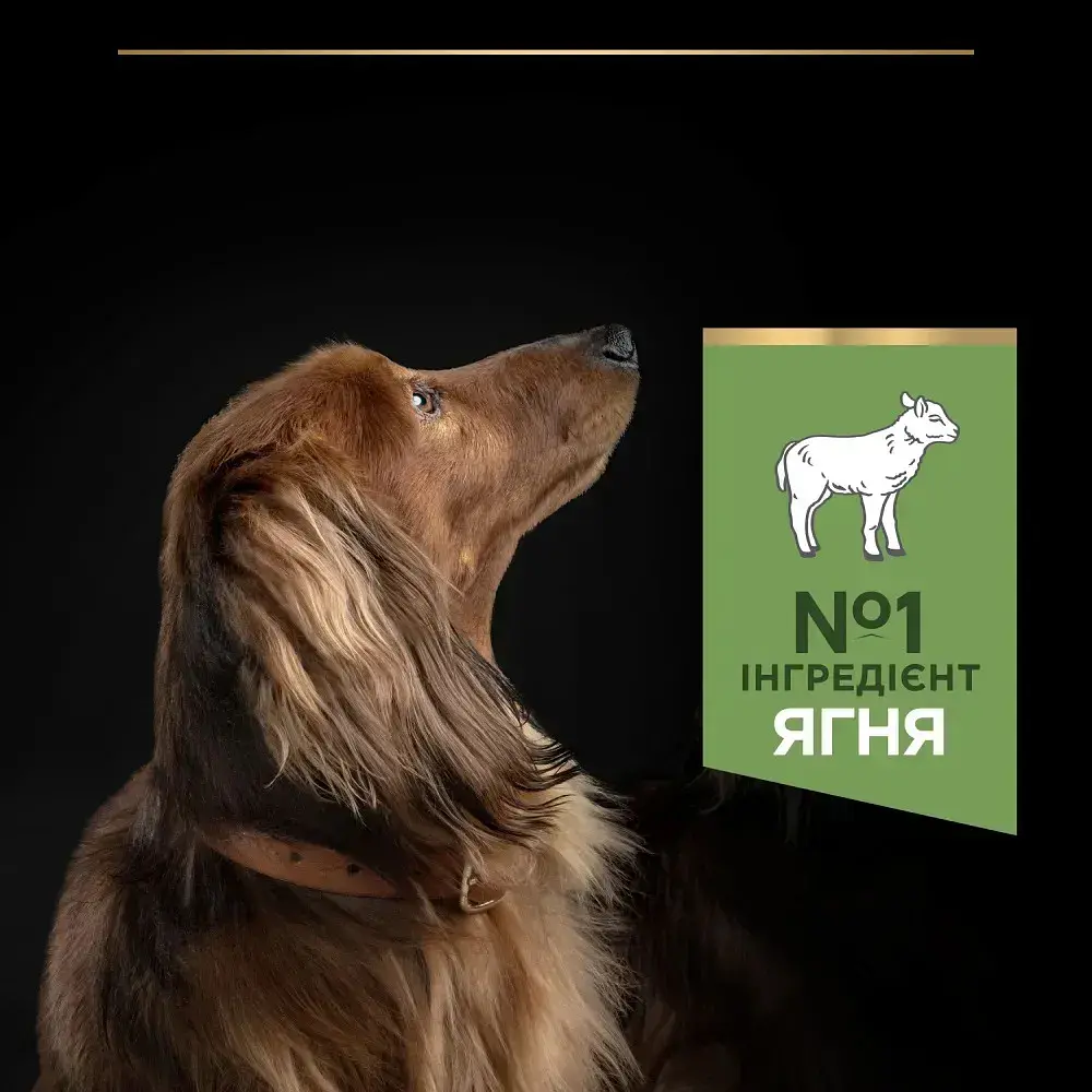 Сухий корм для дорослих собак малих порід Purina Pro Plan Adult Small & Mini Sensitive Digestion для чутливого травлення ягня 3 кг 12377367 - фото 5
