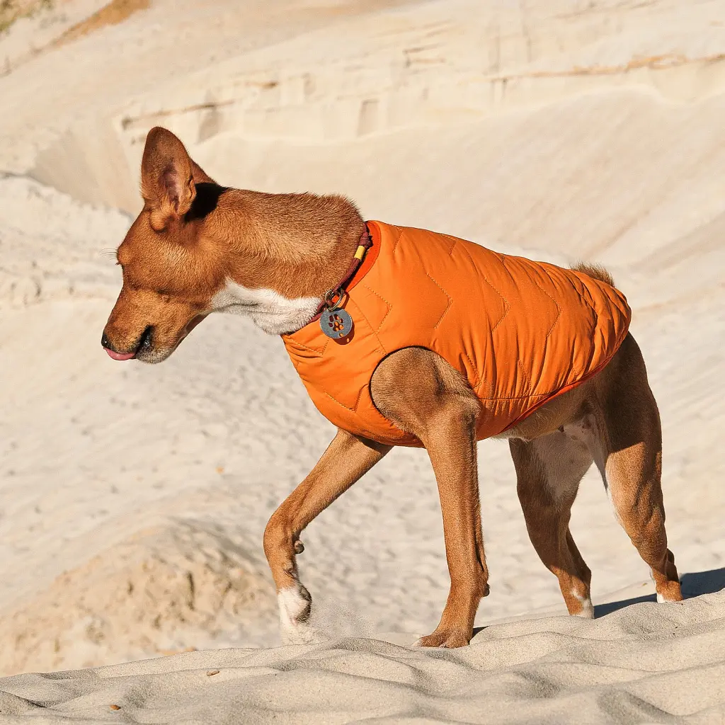 Жилет для тварин Pet Fashion "E.Vest" М помаранчевий (4823082424313) - фото 4