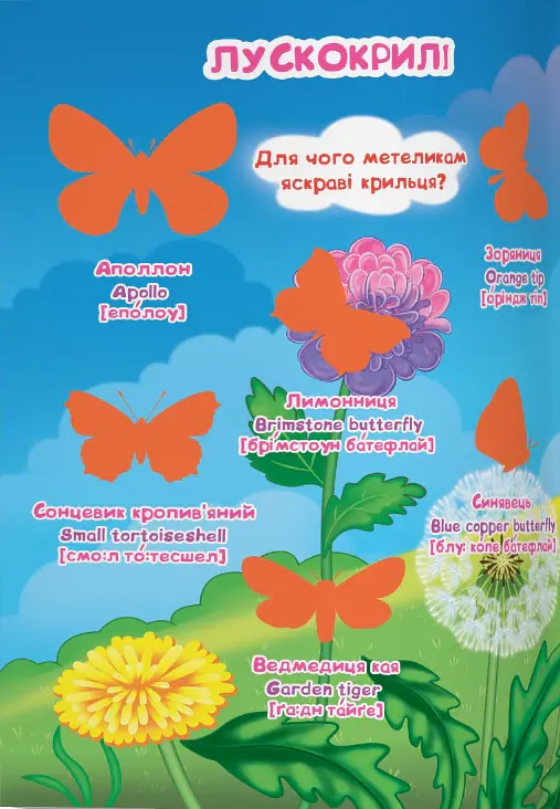 Велика книжка. Розвивальні наліпки. Розумнi завдання. Комахи та павукоподібні - Любов Корнєва - фото 2