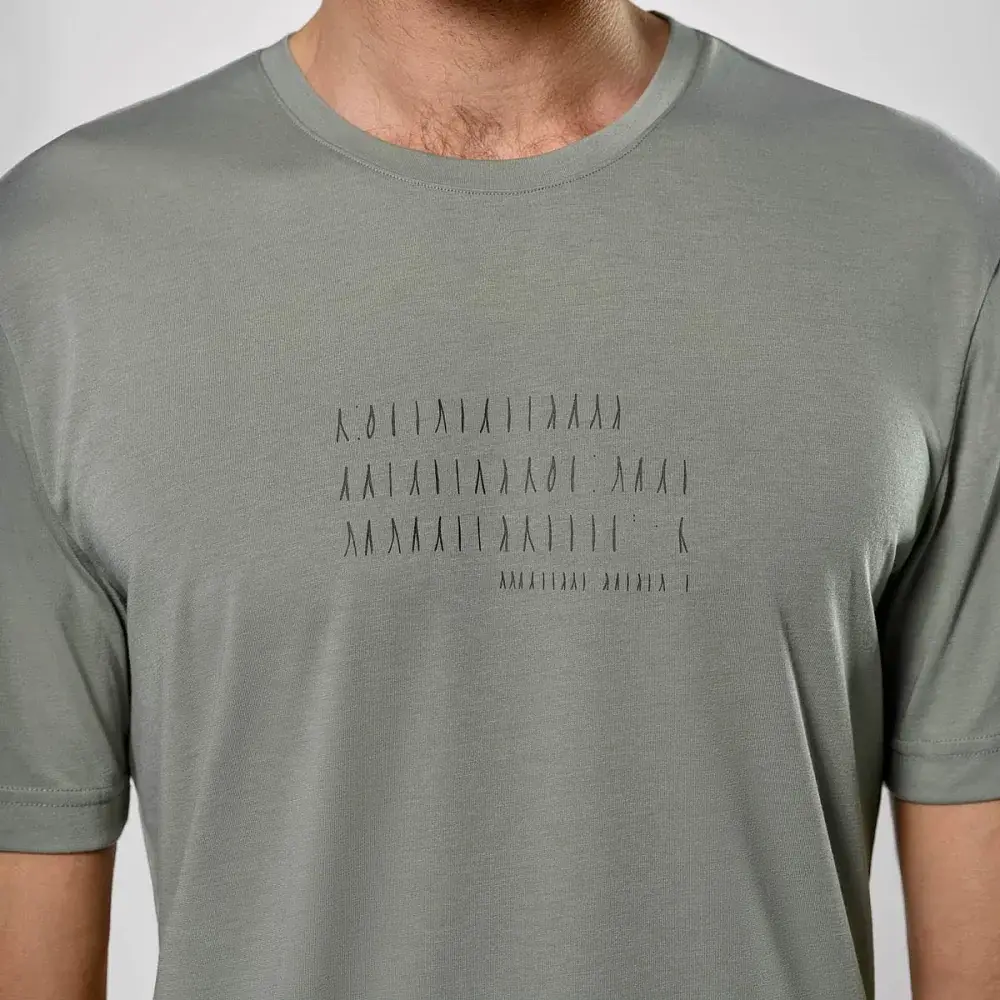 Футболка Salewa Eagle Poem Dry T-Shirt Men 48/M Grey - фото 3