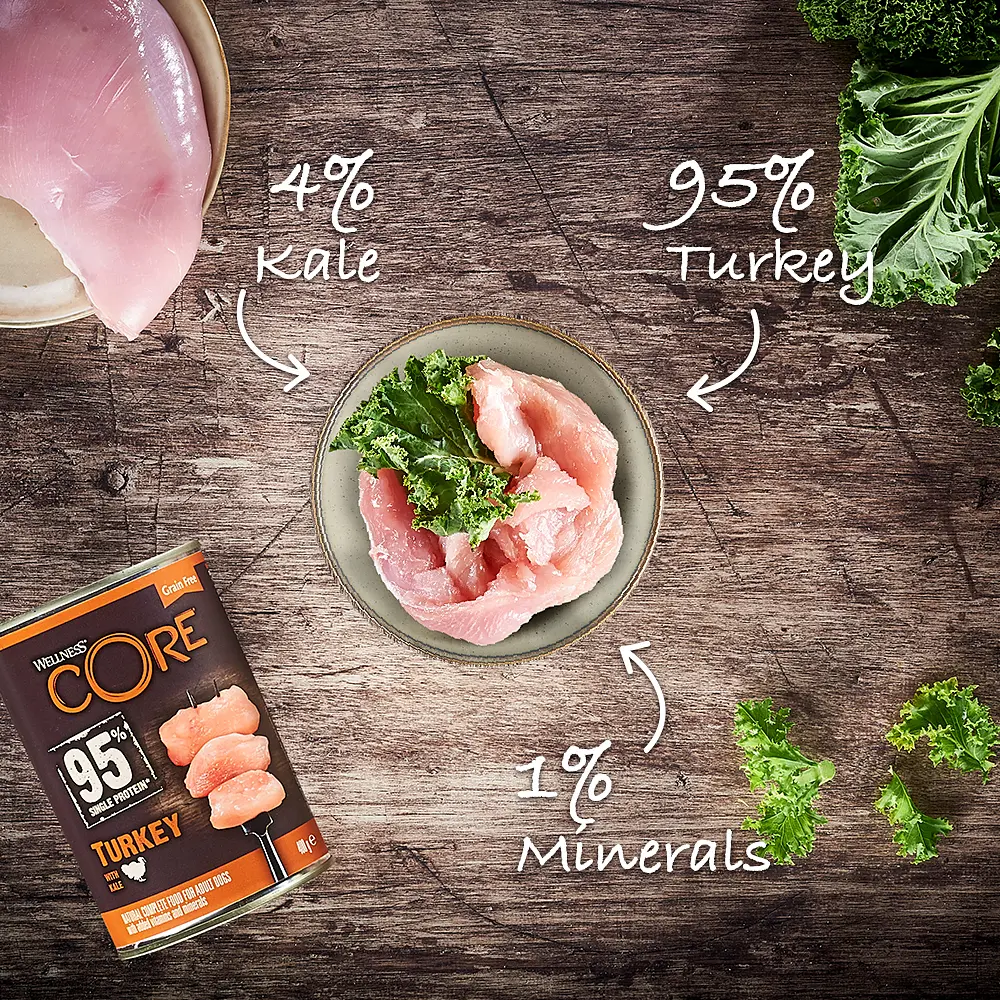 Консерви для собак Wellness CORE Single Protein Turkey with Kale з індичкою - фото 3