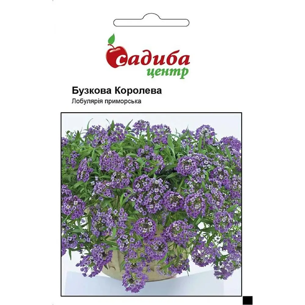 Лобулярія приморська Садиба Центр Бузкова королева 0.1 г (000005100) - фото 1
