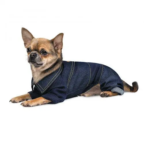 Комбінезон Pet Fashion Jeans для собак, розмір S, джинс - фото 2