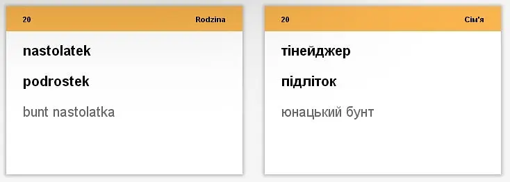 Настільна гра English Student Картки для вивчення розмовної польської мови English Student (укр.) (39122656) - фото 2