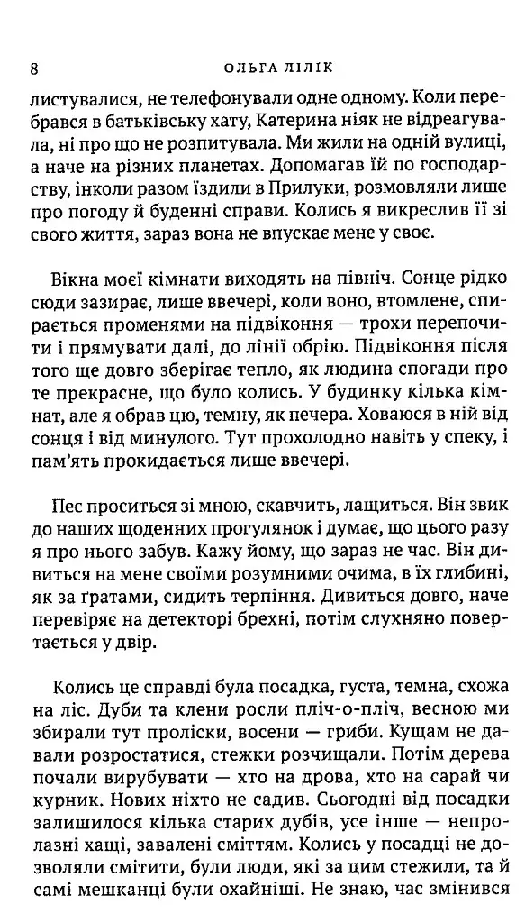 Квіти цикорію - фото 6