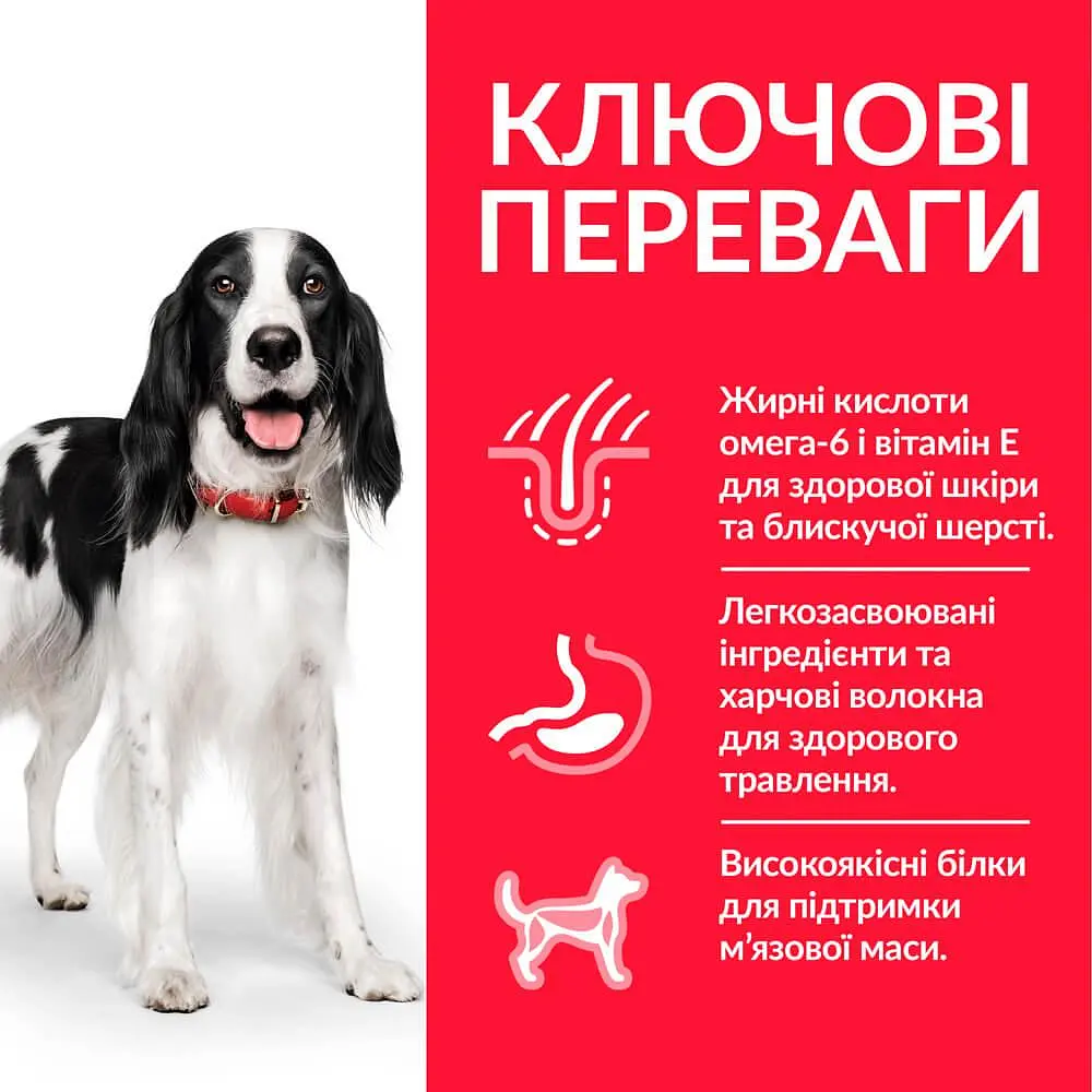 Сухой корм Hill’s SP Adult Medium Breed для взрослых собак средних пород с курицей 2.5 кг - фото 2