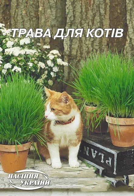 Трава для котів Насіння України зелена 20г
