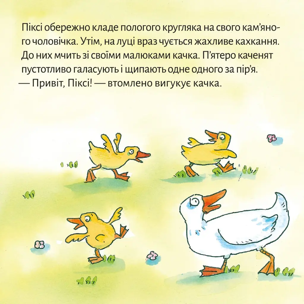 Качина школа - Зімоне Неттінґсмаєр - фото 4