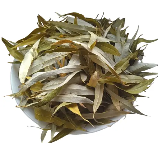 Верба біла Листя Верболіз Ветлина Salix alba - фото 2