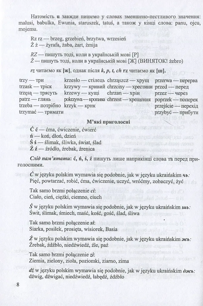 Напишімо це польською! Навчальний посібник з граматики - Віта Мастиляк - фото 11