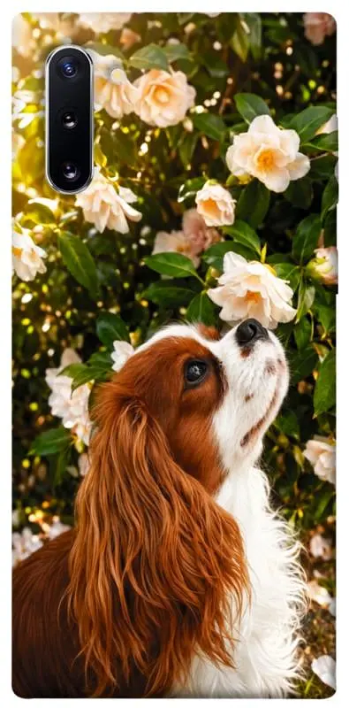 TPU чохол Demsky Flower spaniel для Samsung Galaxy Note 10