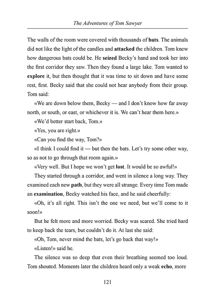 The Adventures of Tom Sawyer - Марк Твен - фото 10