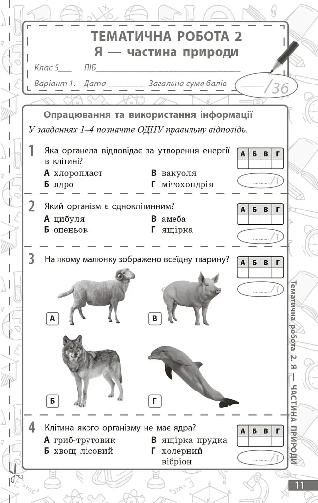 Довкілля. 5 клас. Поточне та підсумкове оцінювання + діагностувальні роботи - фото 4