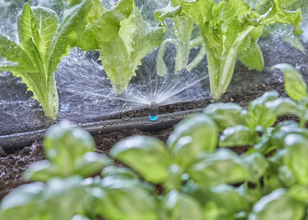Мікронасадка Gardena Micro-Drip-System секторна 180°, 5 шт (13321-20) - фото 2