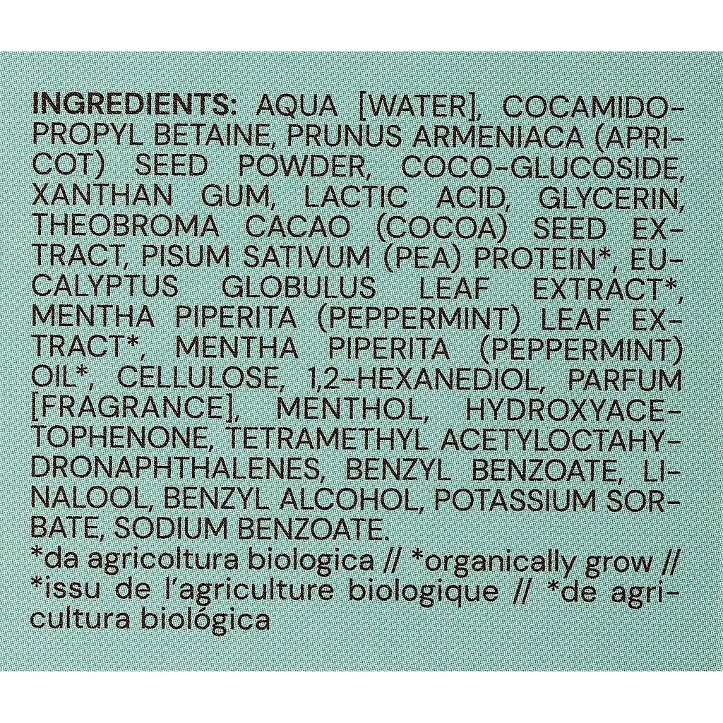Гель для душа Bioearth Botanique Chocolate Mint Choco Exfoliating Shower Gel Мята и шоколад отшелушивающий 250 мл - фото 3
