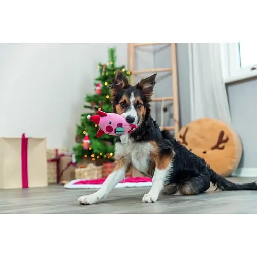 Игрушка для собак Trixie Рождественская свинка плюш 19 см - фото 3
