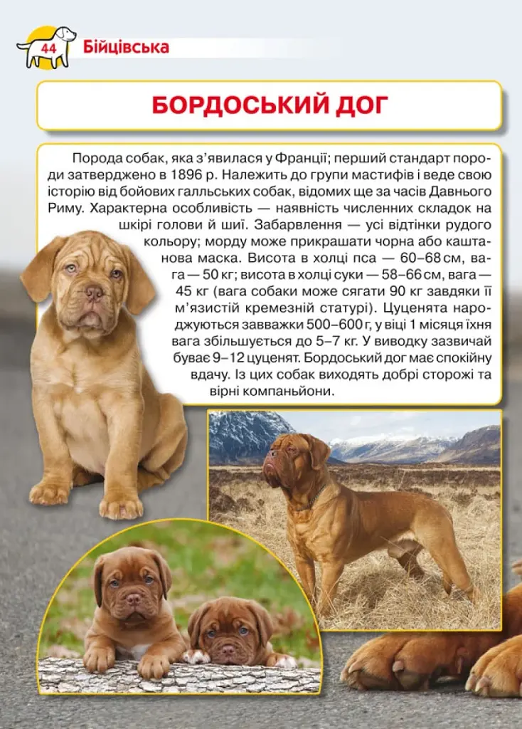 Енциклопедія. Собаки - фото 2
