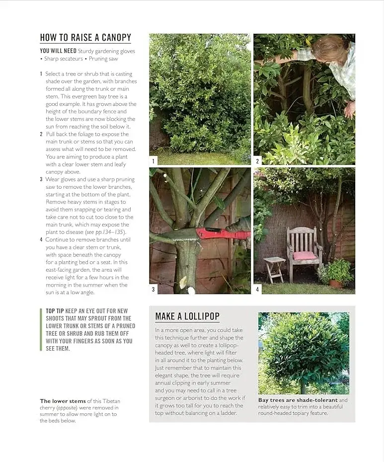 Grow Shade Garden. Essential Know-how and Expert Advice for Gardening Success - фото 7