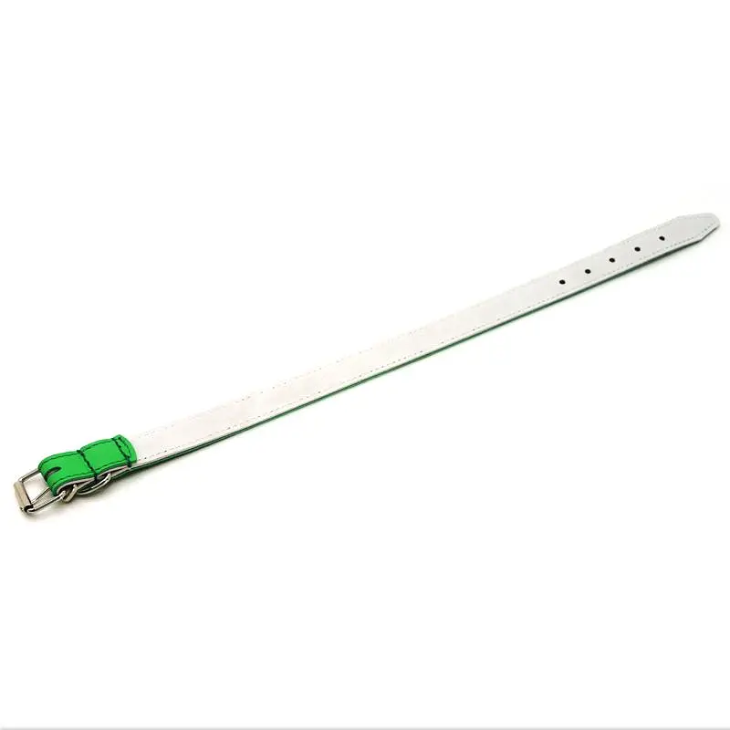 Нашийник для собак Zoo-hunt ОД Фарби шкіряний подвійний зелений 2,5/36-46 см - фото 2