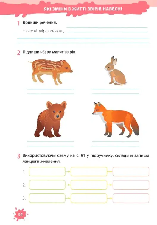 Я досліджую світ. Робочий зошит. 2 клас. Частина 2 (до підручника Т. Гільберг) - Лариса Мечник - фото 7
