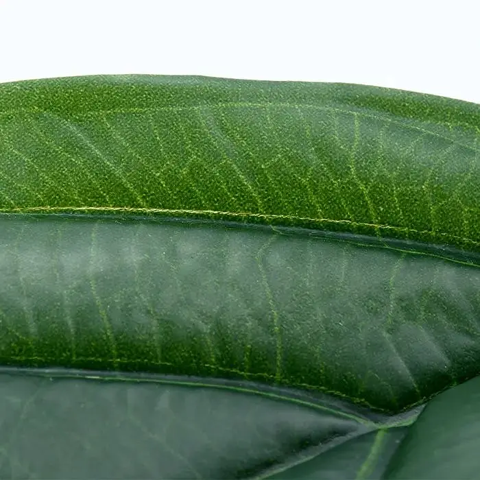 Штучне листя Engard  Monstera 56см (TW-48) - фото 5