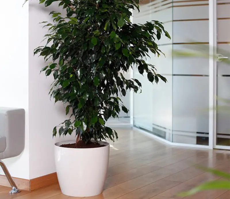 Горщик для квітів Serinova з автоматичним поливом Ruby, 33 л, біло-сірий (YAS6-KirliBeyaz) - фото 2