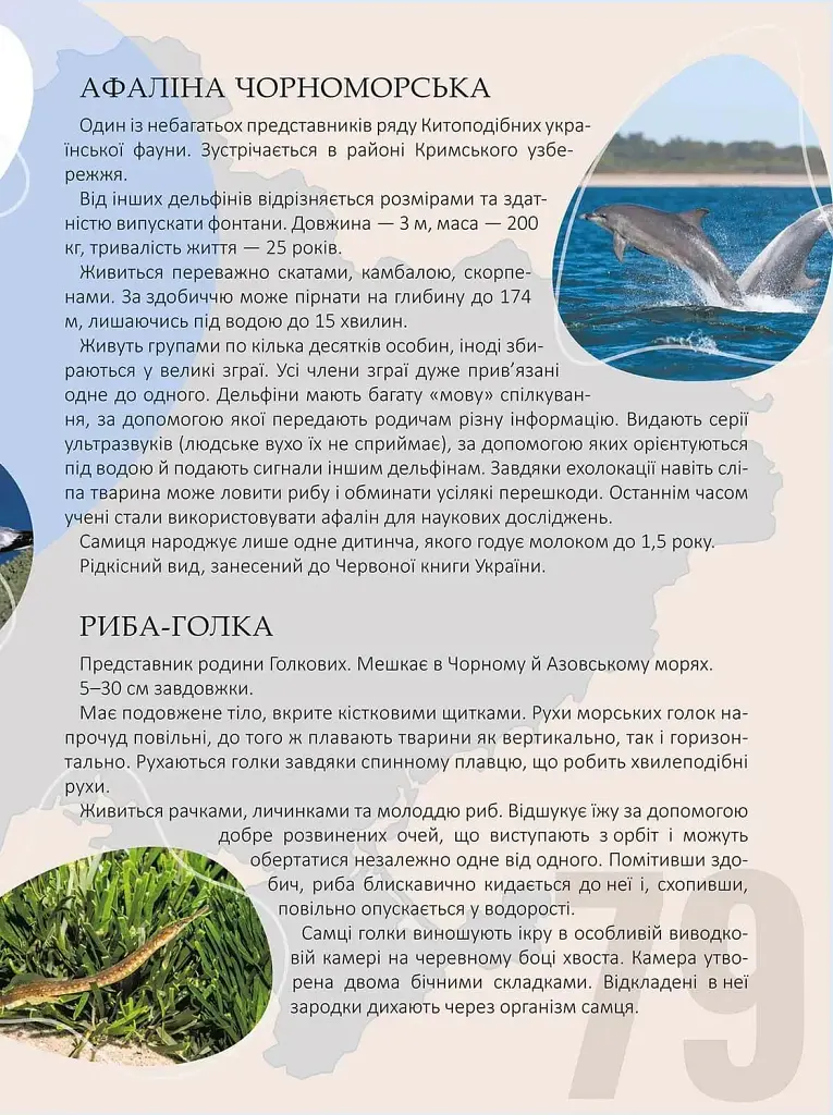 Перлини природи України - Тетяна Станкевич - фото 5