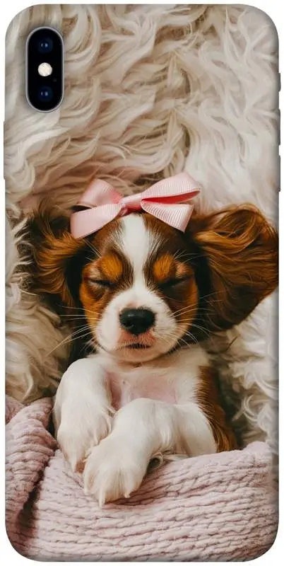 TPU чохол Demsky Sleepy spaniel для Apple iPhone X (5.8")