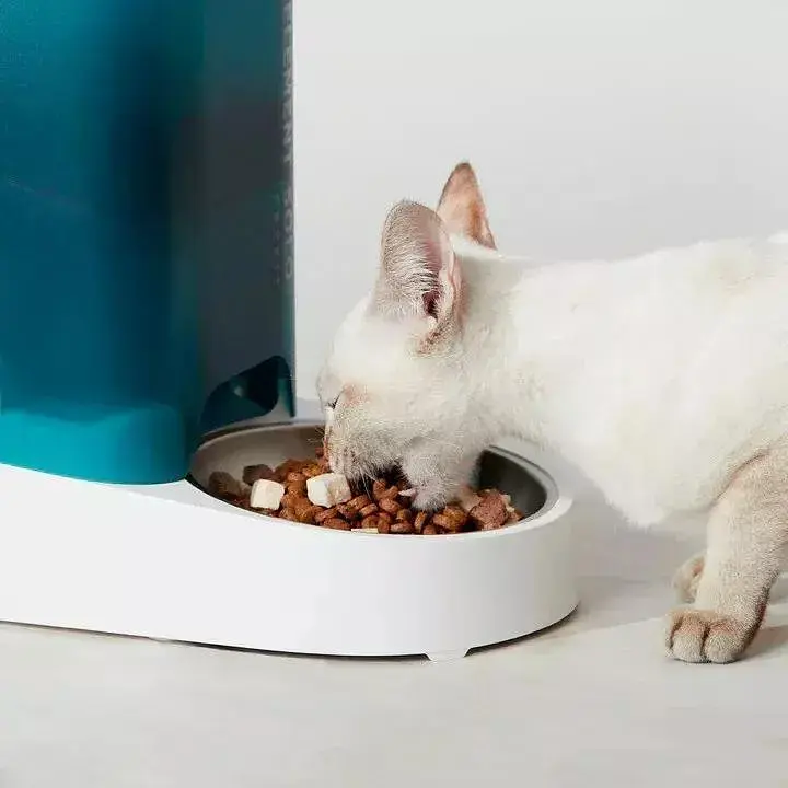 Смарт кормушка PETKIT Fresh Element SOLO (White) P570 - фото 5