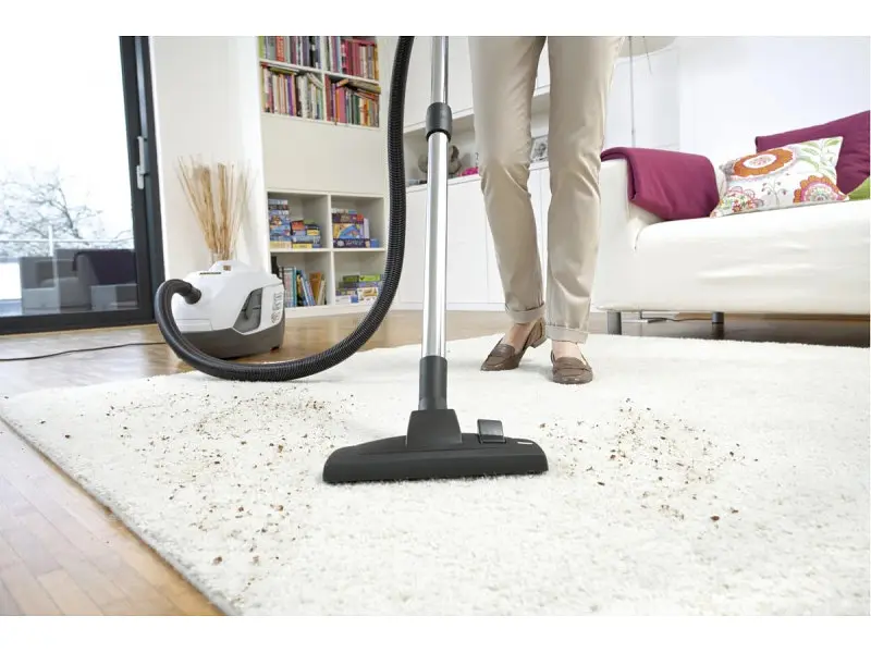 Пилосос Karcher DS 6 Plus (1.195-252.0) - фото 6