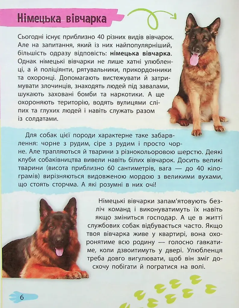 Мініенциклопедія. Хатні улюбленці - фото 6