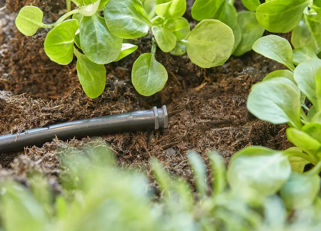 Заглушка Gardena Micro-Drip-System для шлангів 4,6 мм 3/16", 10 шт (13215-20) - фото 3