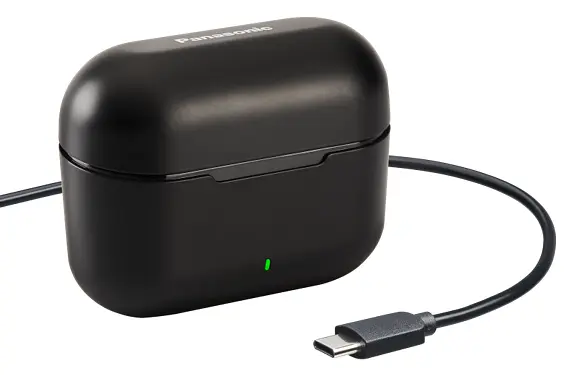 Гарнітура Panasonic RZ-B310WDG-K (RZ-B310WDG-K) - фото 2