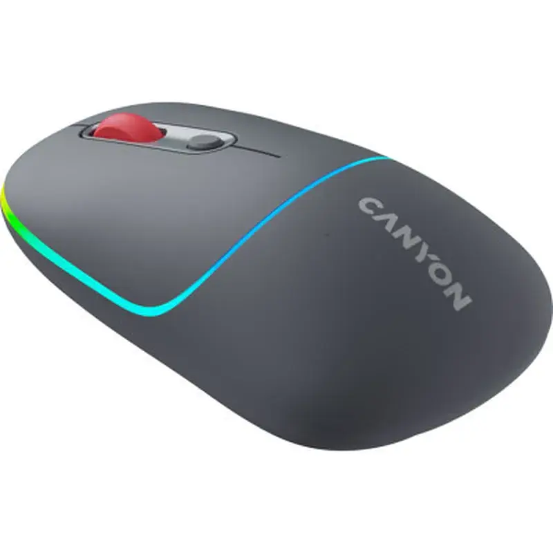 Мишка Canyon MW-22 Dual Band RGB Wireless Dark Grey (CNS-CMSW22DG) - фото 2