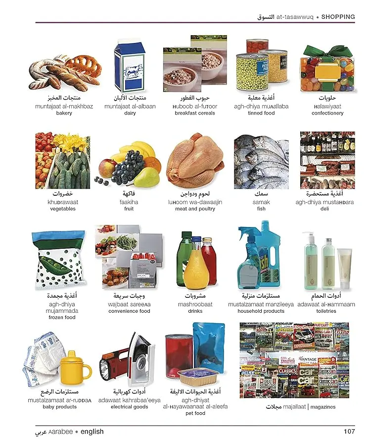 Arabic-English Visual Bilingual Dictionary with Free Audio APP - - фото 6