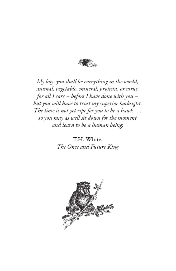 Dragon Rider. The Griffin's Feather. Book 2 - фото 3