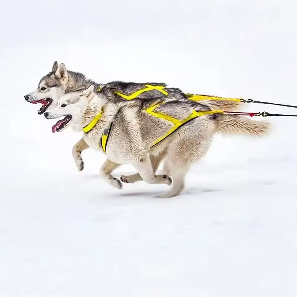 Тягова шлейка для собак V.PET.B.R H6 Red, 2XL Помаранчевий - фото 8