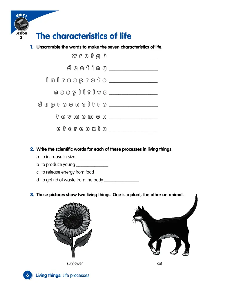 Macmillan Science. Level 4. Workbook - фото 4