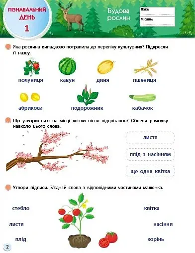 SMARTліто. Іду у 3 клас. Оновлене видання - Наталія Коваль - фото 2