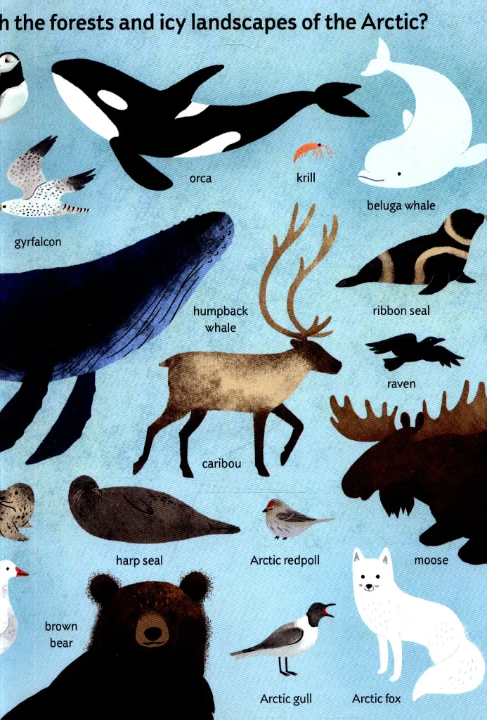 Look Closer into the Arctic - фото 7
