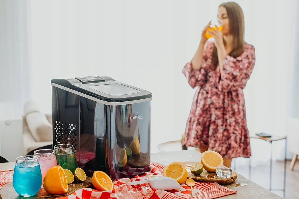 Льодогенератор Lehmann Syowa 12кг 2л - фото 8