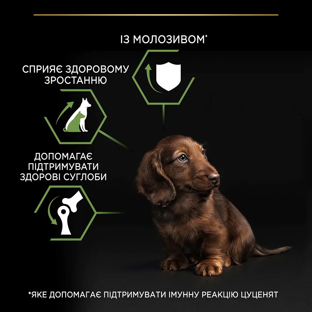 Сухой корм Purina Pro Plan Small & Mini Puppy <1 Healthy Start для щенков мелких пород с курицей 3 кг (12272132) - фото 7