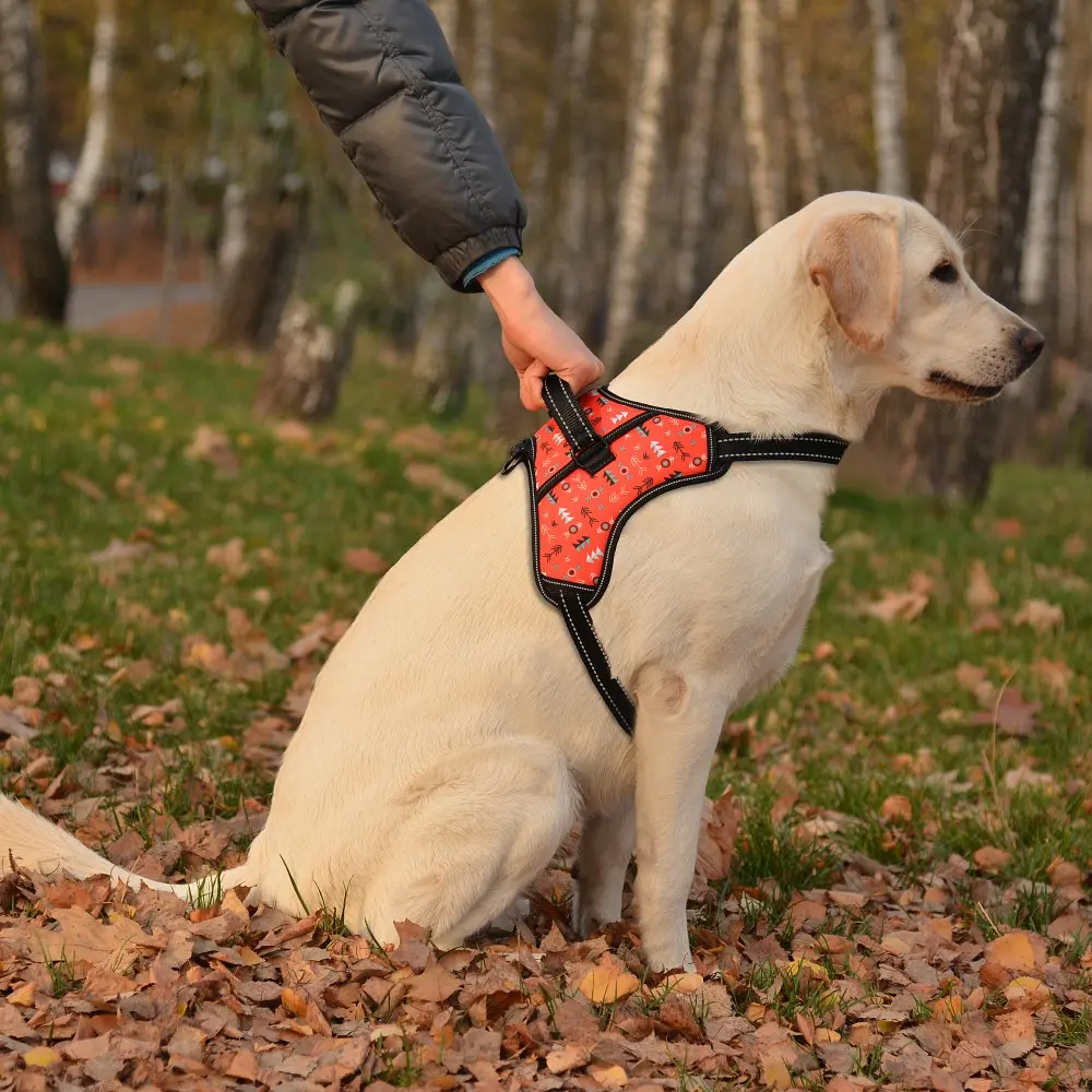 Шлея для собак BronzeDog Urban Comfort інки S 32-38 см / 40-52 см 81/1336/T - фото 3