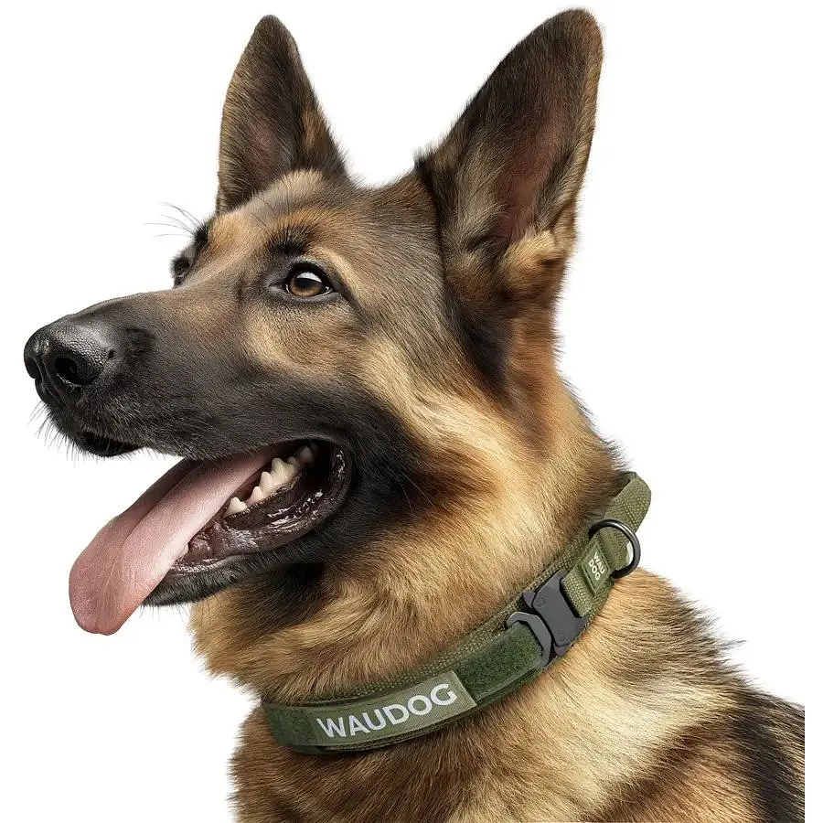 Ошейник для собак Waudog с ручкой тактический, металлический фастекс, M, Ш 50 мм, Д 38-47 хаки - фото 4