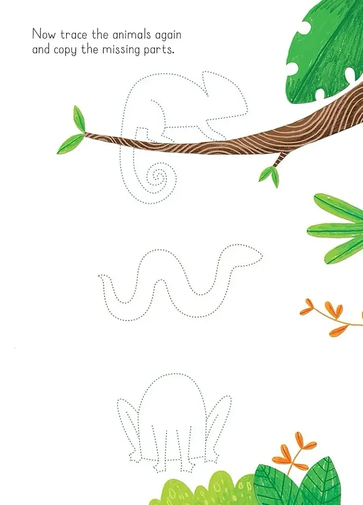 Animals to Copy and Trace. Little Wipe-Clean - фото 4