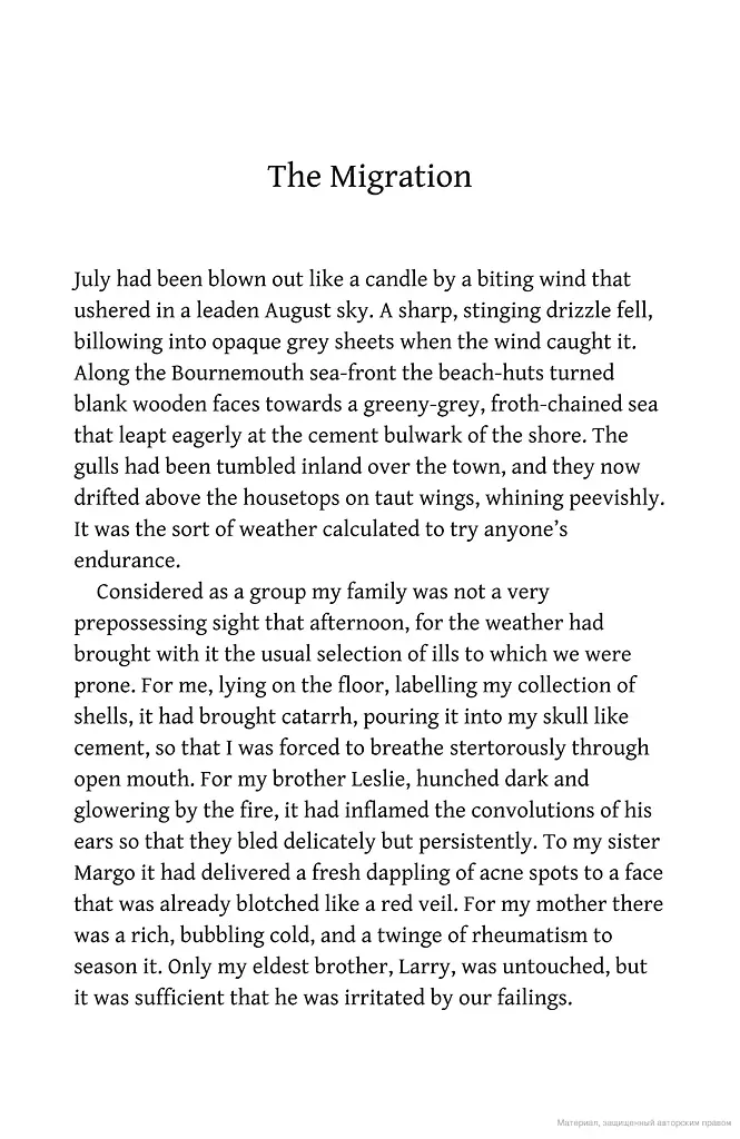 My Family and Other Animals - фото 9