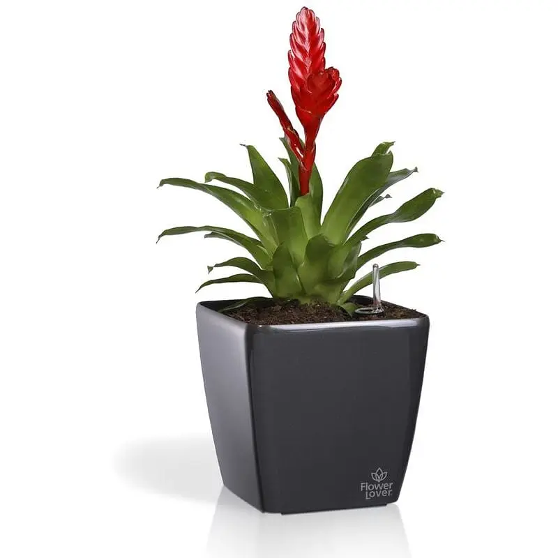 Кашпо Plastkon Quadrato Flower Lover с системой автополива 18x18x17 см глянцевое антрацит - фото 2