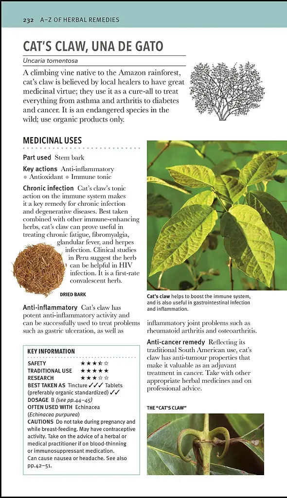 Herbal Remedies Handbook - фото 7