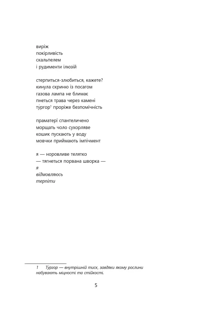 Птаходім - Олексанрда Хопта - фото 5
